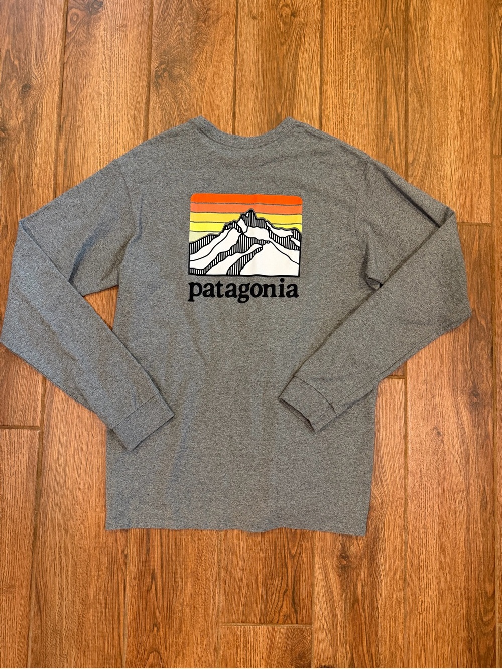 Patagonia Men's Grey Long-Sleeve Graphic tee / small